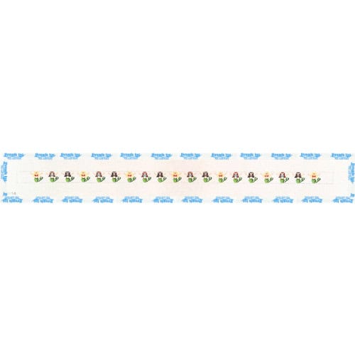 Mermaid Belt
