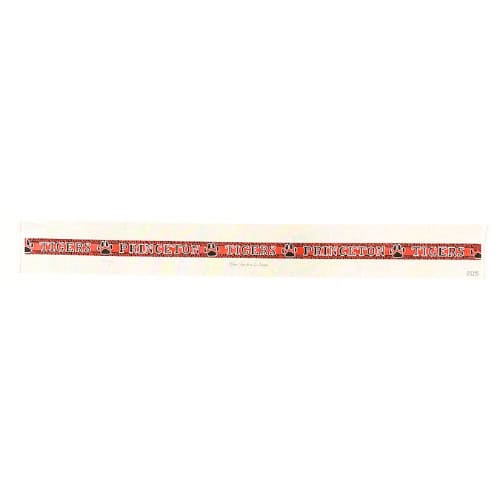 Princeton Tigers Belt