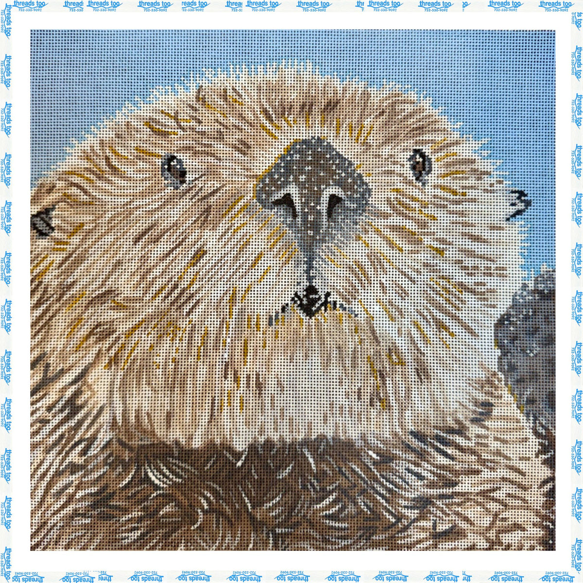 Otter