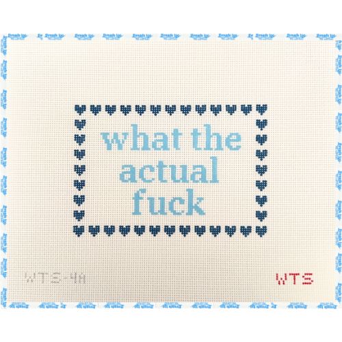 What the Actual Fuck - What's the Stitch Needlepoint