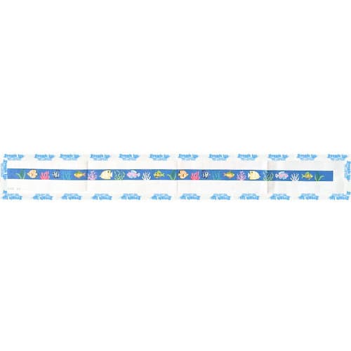 Rainbow Fish on Blue Belt