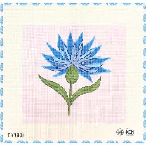 Cornflower Blue Flower - Thorn Alexander