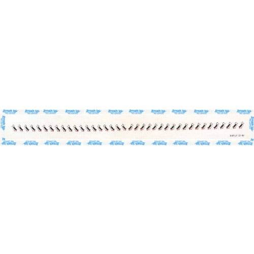 Penguin Belt