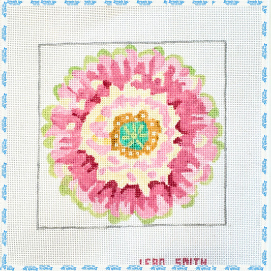 Pink Pansy