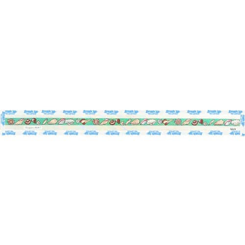 Shells on Turquoise Belt