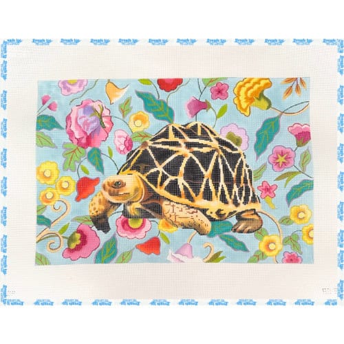 Colors of Praise - Turtle on Floral Background