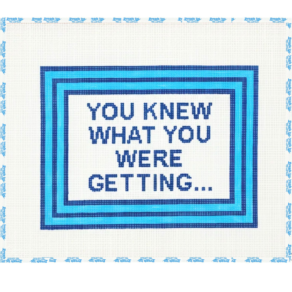 You Knew What You Were Getting hand-painted needlepoint canvas by Susan Battles