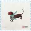 Bougie Dachshund