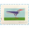Long Beak
