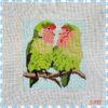 Lovebirds